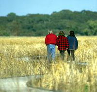 Onkaparinga River Recreation Park - Accommodation Ballina