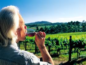 Ashton Hills Vineyard - Accommodation Ballina 0