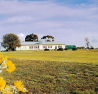 Lucindale Country Club - Accommodation Ballina
