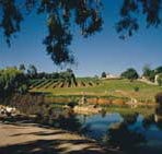 Mount Hurtle Winery home of Geoff Merrill Wines - Accommodation Ballina
