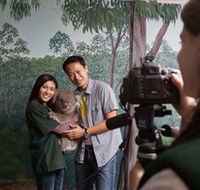 Cleland Wildlife Park - Accommodation Ballina