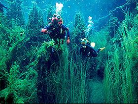 Mingbool SA Accommodation Ballina