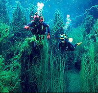 Ewens Ponds Conservation Park - Accommodation Ballina