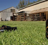 Wilkadene Woolshed Brewery - Accommodation Ballina