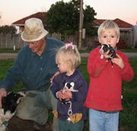 Orrie Cowie Merino and Poll Merino Stud - Accommodation Ballina
