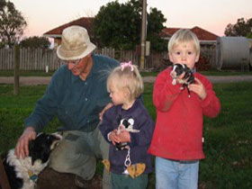 Orrie Cowie Merino And Poll Merino Stud - Accommodation Ballina 0