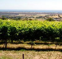 Braydun Hill Vineyard - Accommodation Ballina