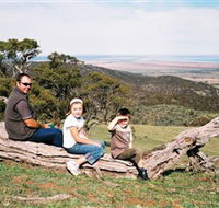 Bridle Track - Accommodation Ballina