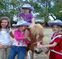 Amberainbow Pony Rides - Accommodation Ballina