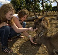 Kangaroo Island Wildlife Park - Accommodation Ballina