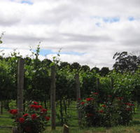Manyara Vineyard - Accommodation Ballina