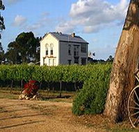 Highbank Vineyards - Accommodation Ballina