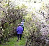 Jack And Hilda McArthur Walk - Accommodation Ballina