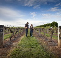Coonawarra Wineries Walking Trail - Accommodation Ballina