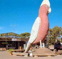 The Big Galah - Accommodation Ballina
