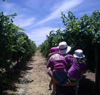 McLaren Vale Orchards - Accommodation Ballina