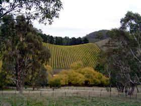Mt Bera Vineyards - Accommodation Ballina 0