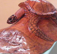 Ants Redgum Gallery - Accommodation Ballina