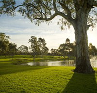 Serafino Wines - Accommodation Ballina