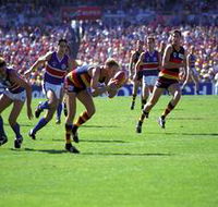 AAMI Stadium Tours - Accommodation Ballina