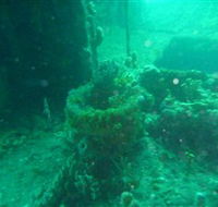 Wallaroo Scuba Club - Accommodation Ballina