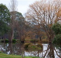 Gemtree Wetlands Ecotrail - Accommodation Ballina