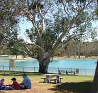 Naracoorte Nature Park and Swimming Lake - Accommodation Ballina
