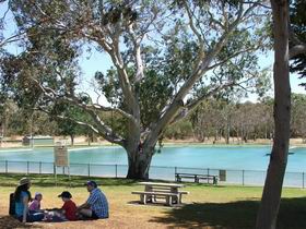 Naracoorte Nature Park And Swimming Lake - Accommodation Ballina 0