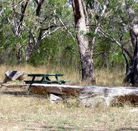 Penola Conservation Park - Accommodation Ballina