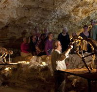 Naracoorte Caves National Park - Accommodation Ballina