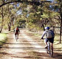 Bike About Mountain Bike Tours And Hire - Accommodation Ballina