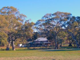 Old Wilpena Station - Accommodation Ballina 0