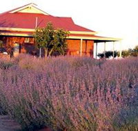 Bella Lavender Estate - Accommodation Ballina