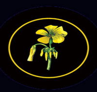 Battle of Bosworth Wines - Accommodation Ballina