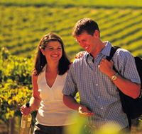 Lady Bay Vineyard - Accommodation Ballina