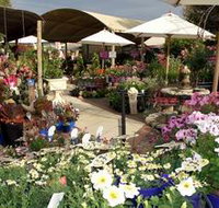 Serenity Nursery - Accommodation Ballina