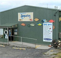 Stanley Seaquarium - Accommodation Ballina