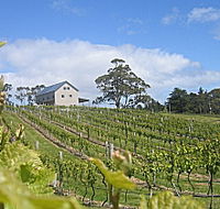 Bruny Island Premium Wines Bar and Grill
