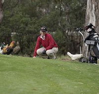 Tasmania Golf Club - The - Accommodation Ballina