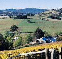 Freycinet Vineyards Pty Ltd - Accommodation Ballina