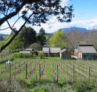 Wilmot Hills Vineyard - Accommodation Ballina