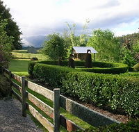 Wychwood Garden  Nursery - Accommodation Ballina