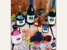 Hartzview Vineyard - Accommodation Ballina 0