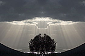 Activities Picnic Point NSW Accommodation Ballina