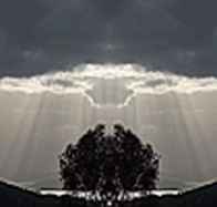 aart. Gallery of Fine Art - Accommodation Ballina