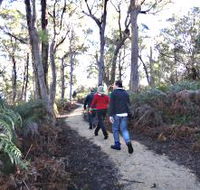 Bridport Walking Track - Accommodation Ballina