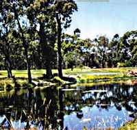 Smithton Country Club - Accommodation Ballina