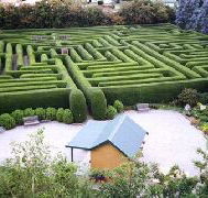 Westbury Maze and Tea Room - Accommodation Ballina
