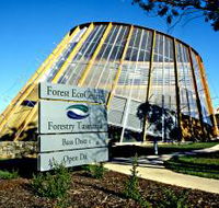 Forest EcoCentre - Accommodation Ballina