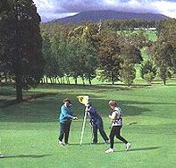 Deloraine Golf Course - Accommodation Ballina
